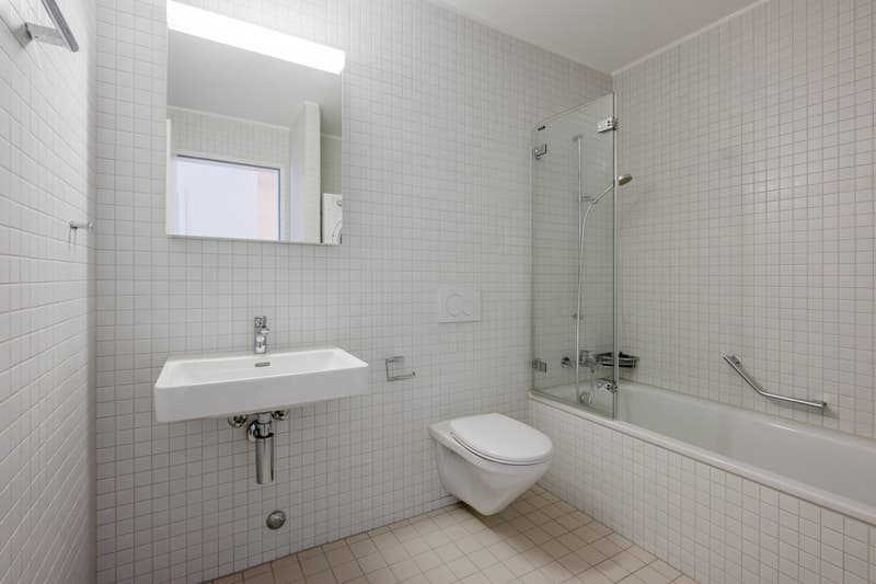 Grösszügige und urbane 2.5 Zimmerwohnung (3)