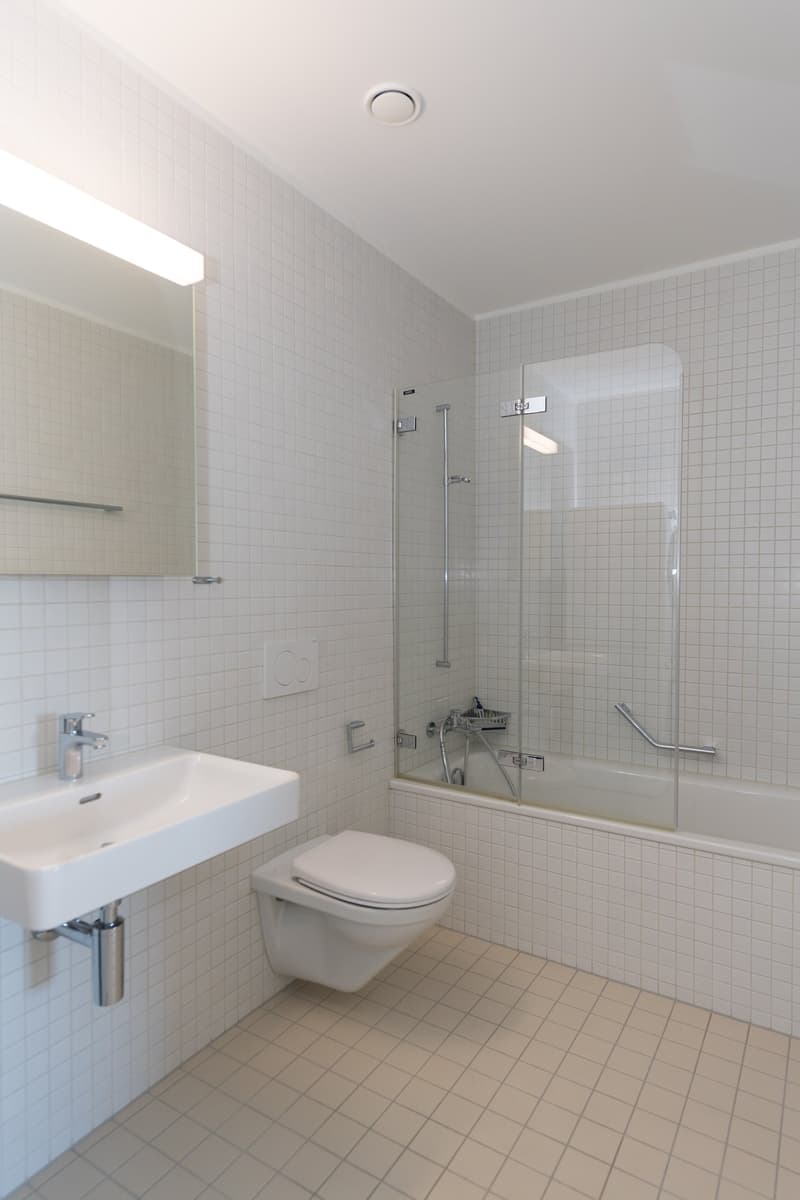 Grosszügige 2.5 Zimmerwohnung mit urbanem Flair (5)