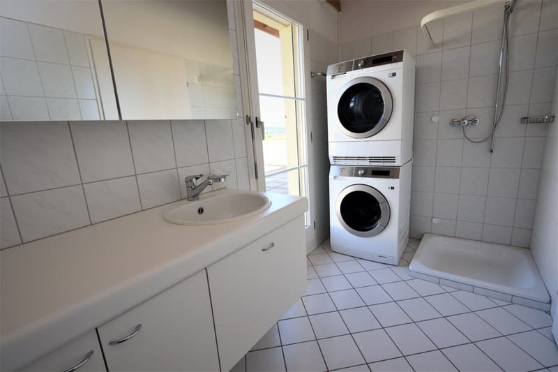 4.5-room attic apartment with 147 m² terrace area (10)