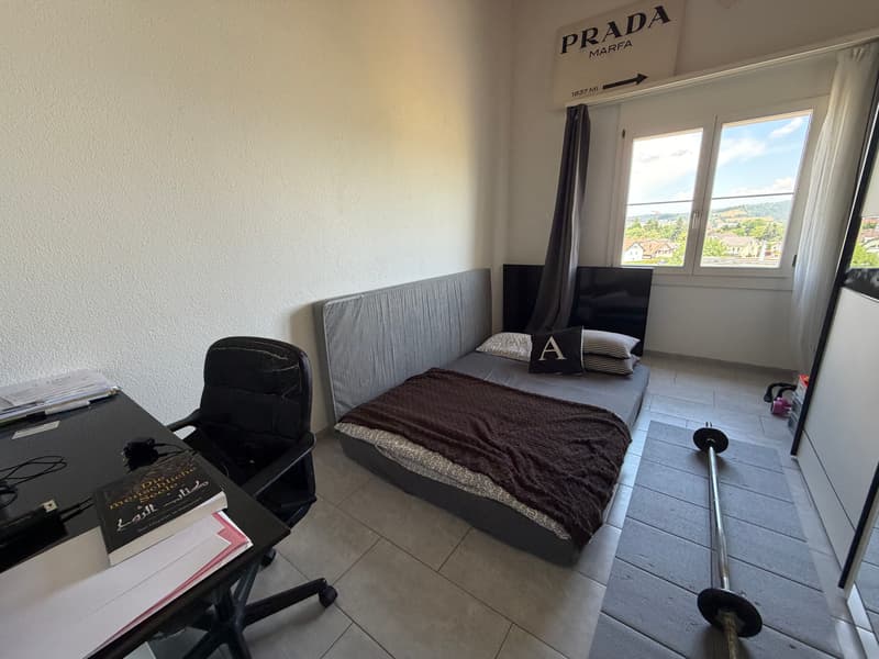 4.5-room attic apartment with 147 m² terrace area (8)