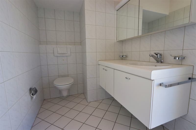 4.5-room attic apartment with 147 m² terrace area (9)