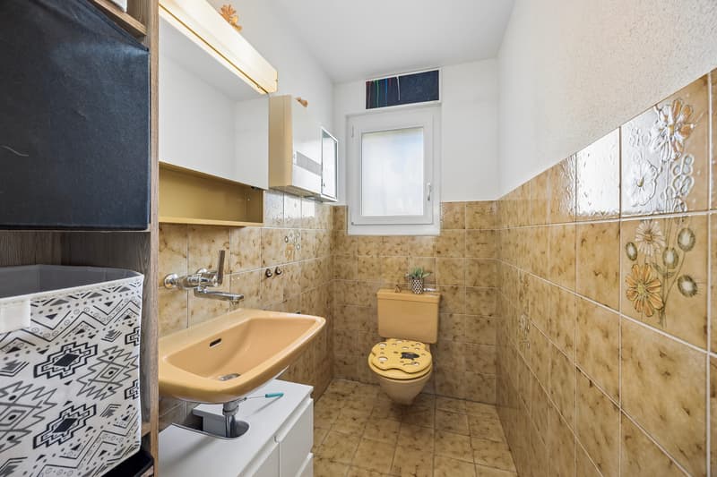 Freistehendes EFH mit 6.5 Zimmer und viel Umschwung (11)