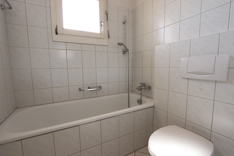 4.5-Zimmer-Attikawohnung mit 147 m² Terrassenfläche (13)