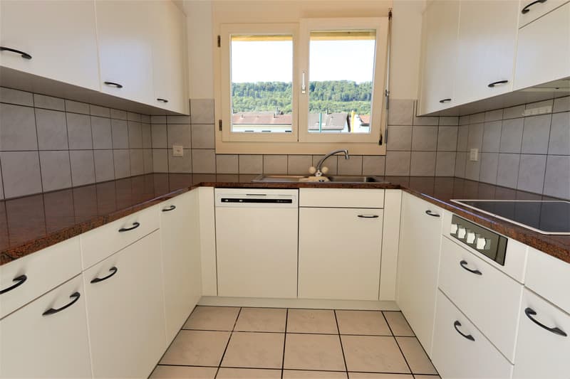 4.5-Zimmer-Attikawohnung mit 147 m² Terrassenfläche (4)