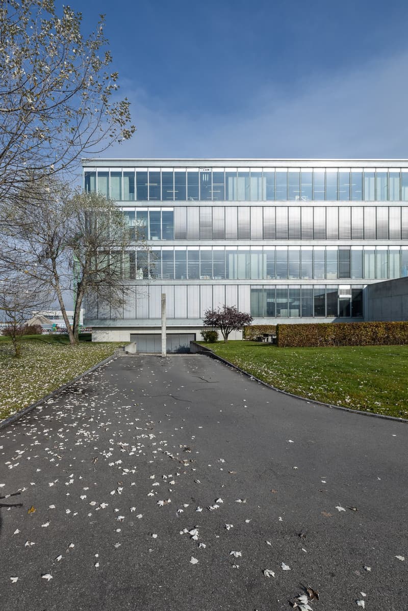 modern building, glass facade, concrete driveway, large windows, trees, bushes