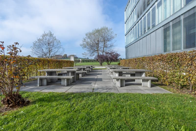 concrete picnic tables, manicured hedges, modern office building, open grassy area