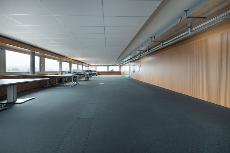 Empty office space with desks, glass windows, beige wood panels, grey carpet flooring, white ceiling