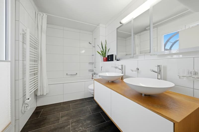 Above the roofs of Dielsdorf: Luxurious attic jewel with a far-reaching view in front of the gates of Zurich (7)