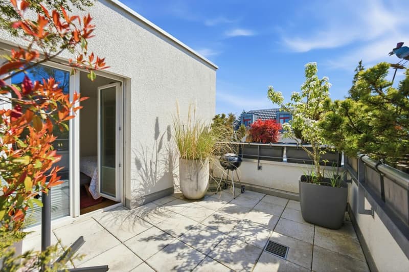 Above the roofs of Dielsdorf: Luxurious attic jewel with a far-reaching view in front of the gates of Zurich (11)