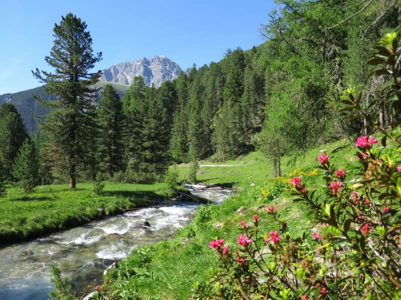 Costruzione nuova: vita alpina in Engadina - proprio come l'immaginate (9)