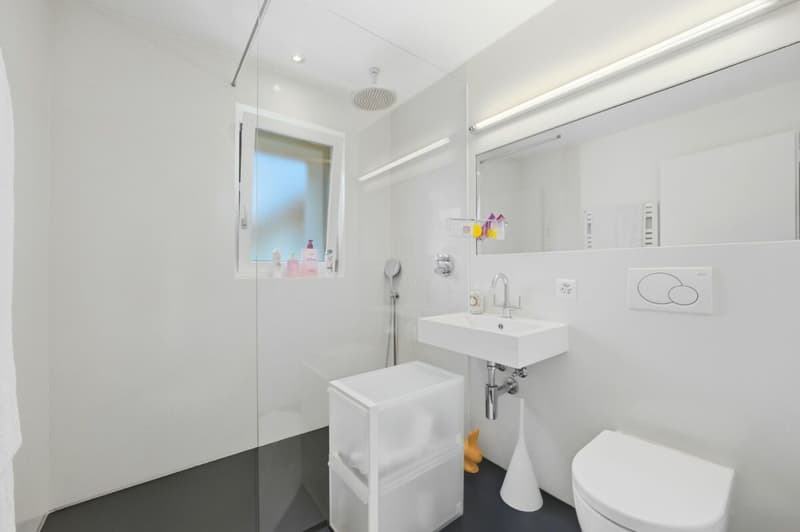 Exclusive living experience with a far-reaching view: Modernized spatial wonder in Belp (10)
