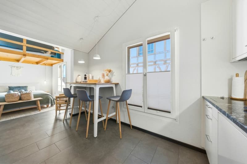 Bijou du Lac - 22.4 m² am Thunersee. 12.6 % dokumentierte Bruttorendite. (5)