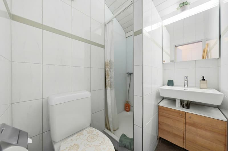 Bijou du Lac - 22.4 m² am Thunersee. 12.6 % dokumentierte Bruttorendite. (7)