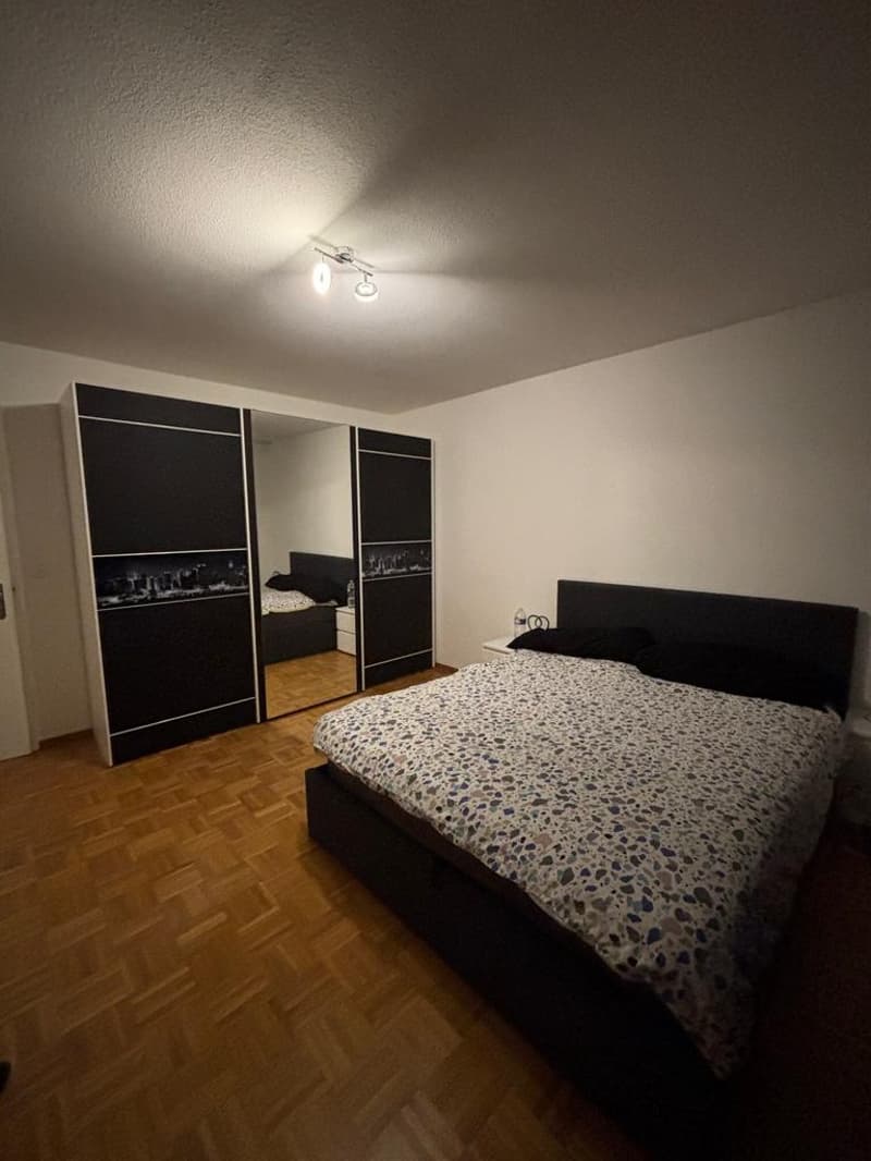 Charming Apartment (2)