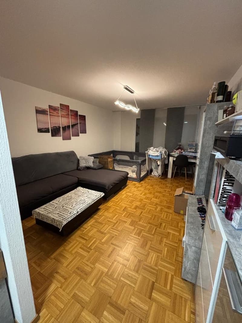 Charming Apartment (5)