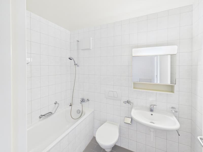 Charmant appartement (4)