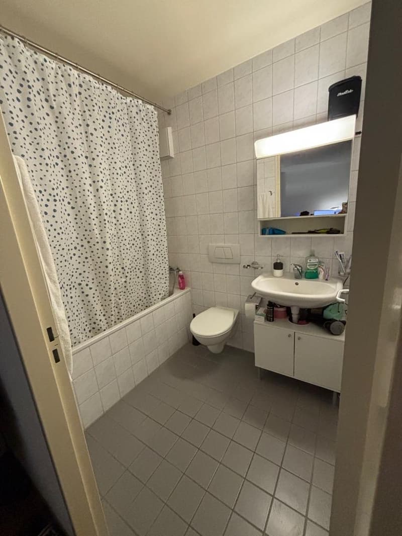 Charming Apartment (6)