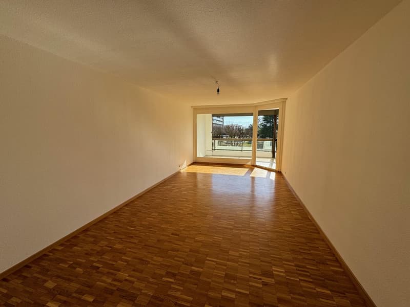 Quartiere tranquillo e familiare (8)