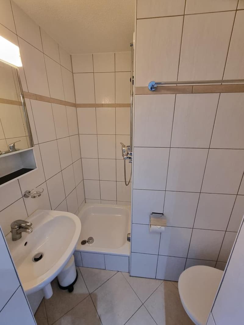 Live two steps from the city, in a quiet neighborhood (5)
