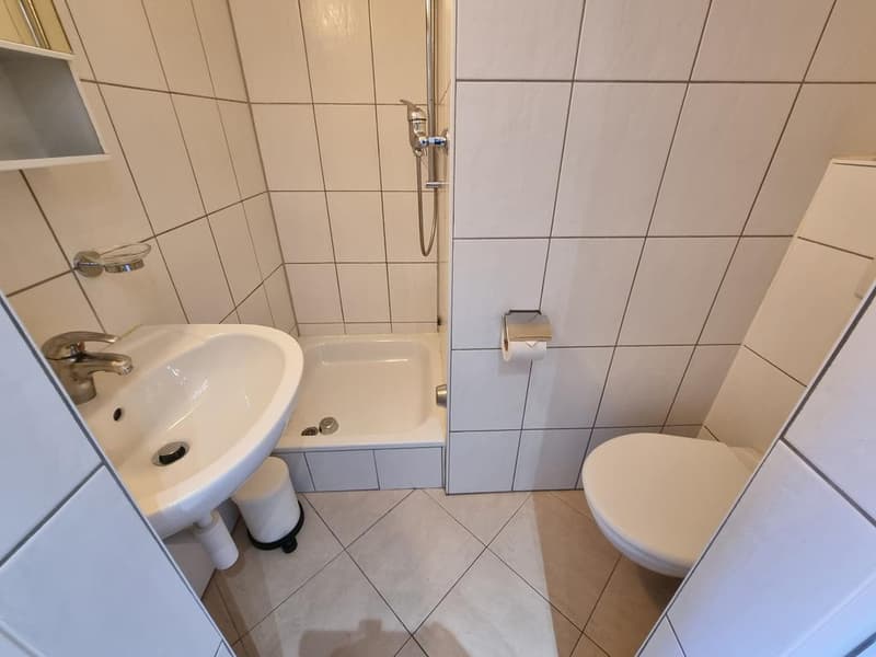Live two steps from the city, in a quiet neighborhood (4)