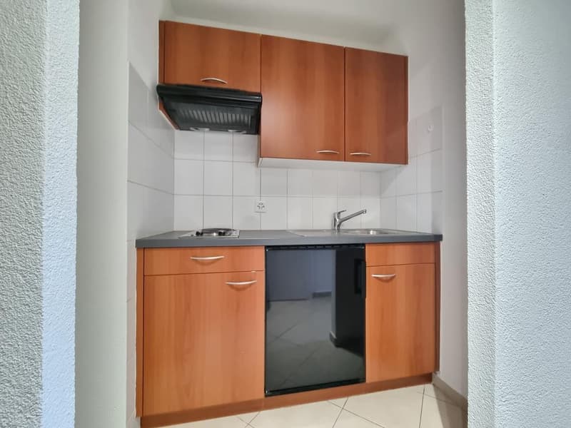 Live two steps from the city, in a quiet neighborhood (3)