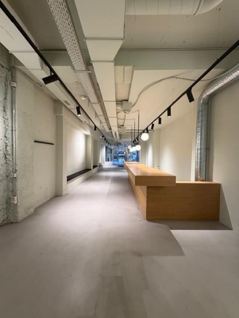 Space in the heart of Lausanne! (5)