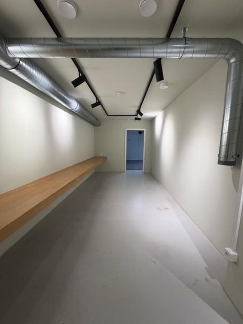 Space in the heart of Lausanne! (10)