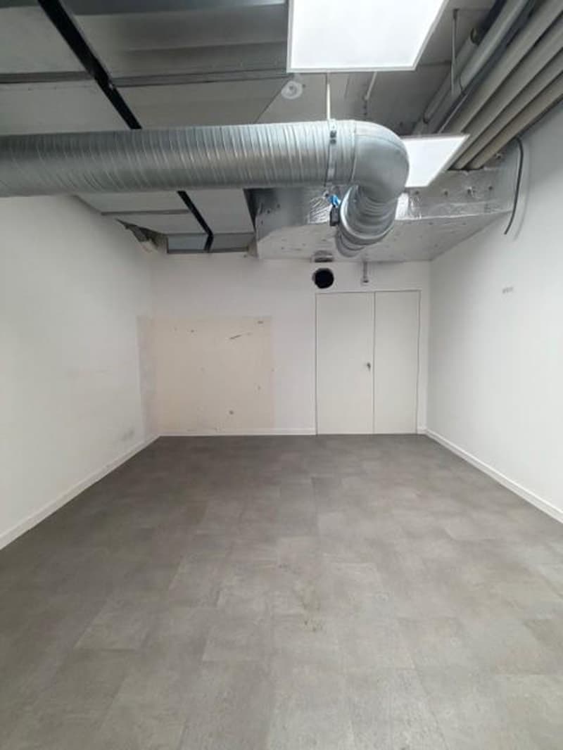 Space in the heart of Lausanne! (6)