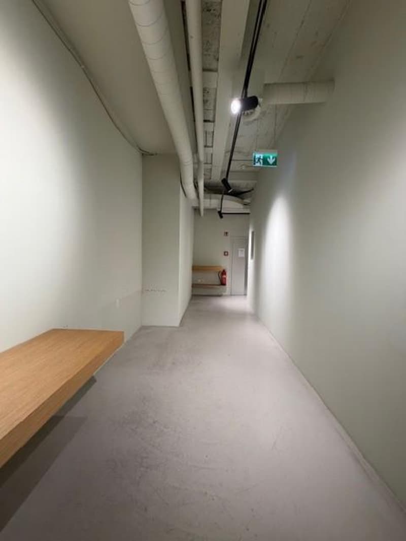 Space in the heart of Lausanne! (12)