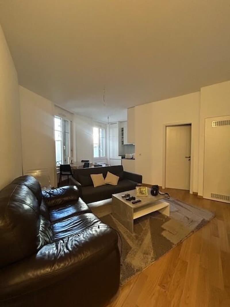 Beautiful apartment in the city center (9)