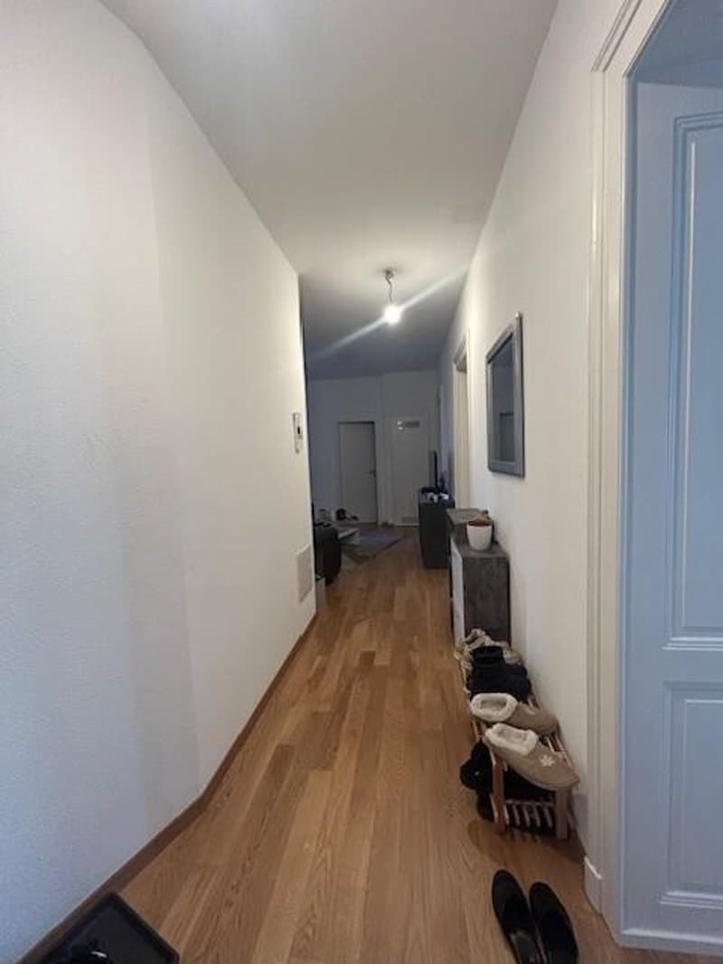 Beautiful apartment in the city center (5)