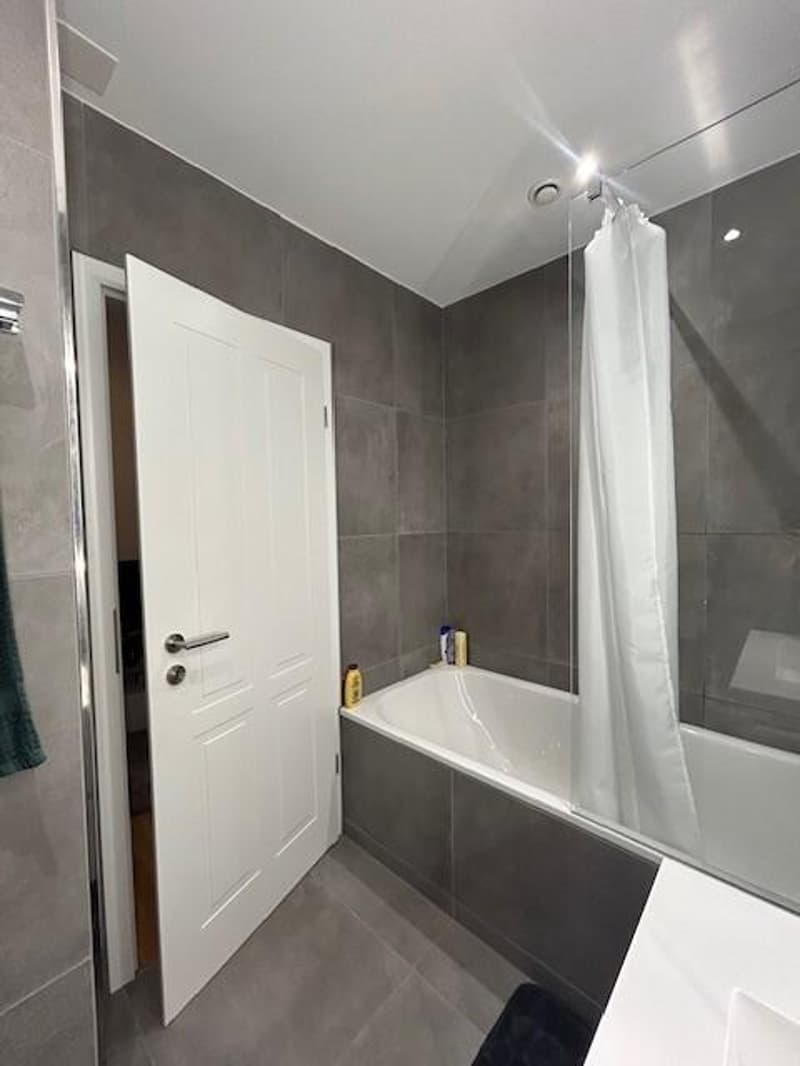 Beautiful apartment in the city center (7)