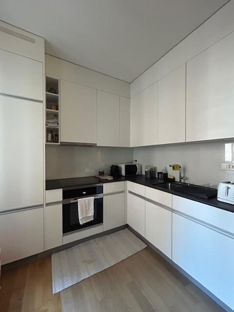 Beautiful apartment in the city center (4)