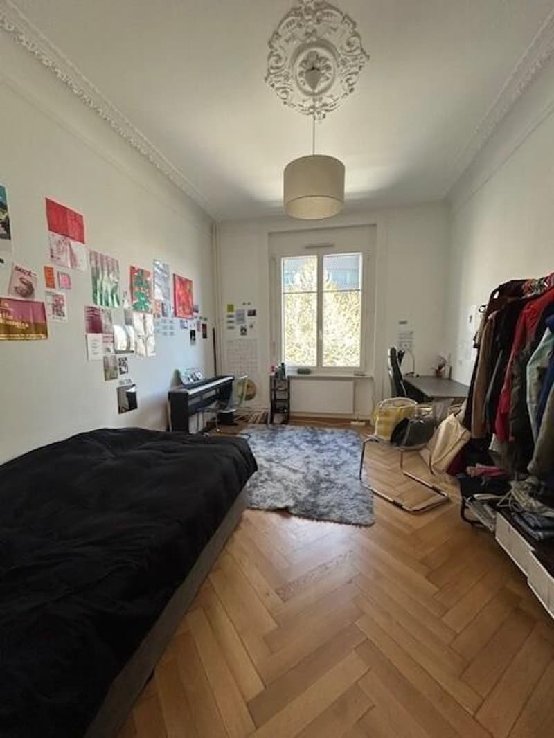 Beautiful apartment in the city center (3)