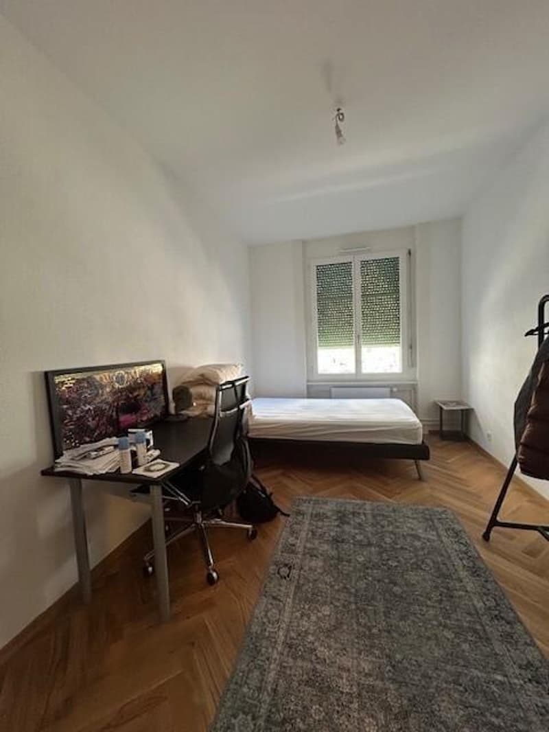 Beautiful apartment in the city center (2)