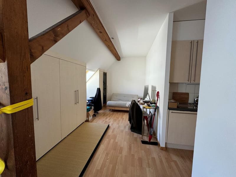 Super bright 2.5-room apartment in the heart of Lausanne (3)