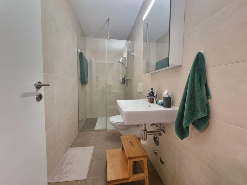 Komfort und Ruhe in Morges (9)