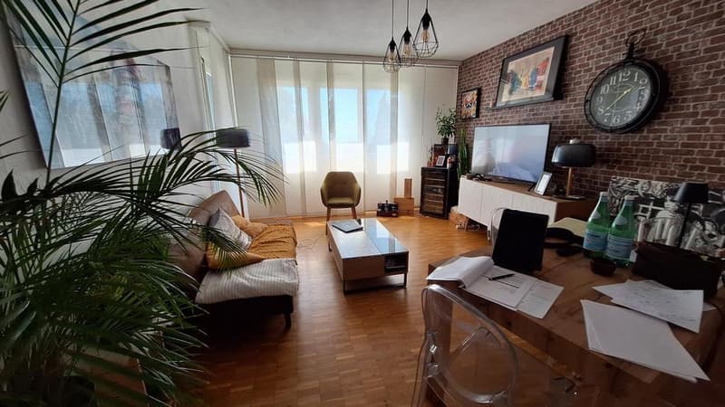 Wohnung mit Seeblick (5)