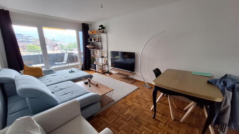 Appartamento affascinante a Corsier-sur-Vevey (4)