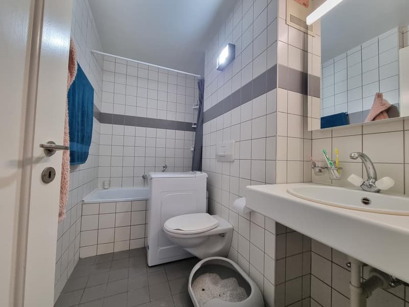 Charmantes Apartment in Lausanne Vennes (4)