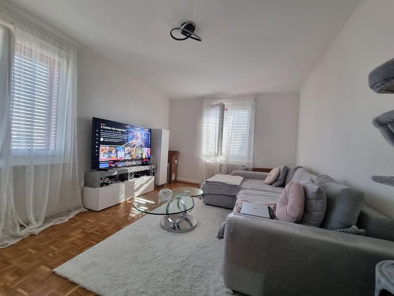 Charmantes Apartment in Lausanne Vennes (3)