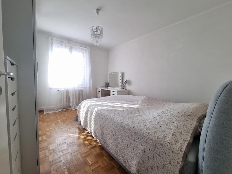 Charmantes Apartment in Lausanne Vennes (2)