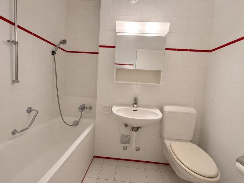 Charmanter Apartment in der Nähe des CHUV (6)