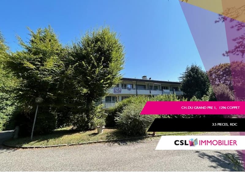 Charmant appartement à Coppet (1)