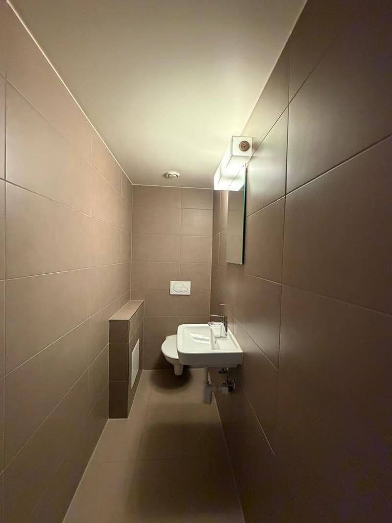 Charmant appartement à Coppet (7)