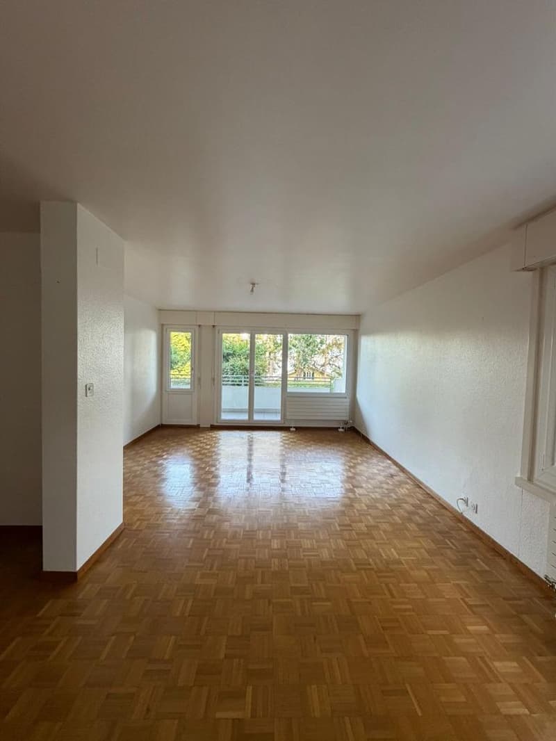 Charmant appartement à Coppet (5)