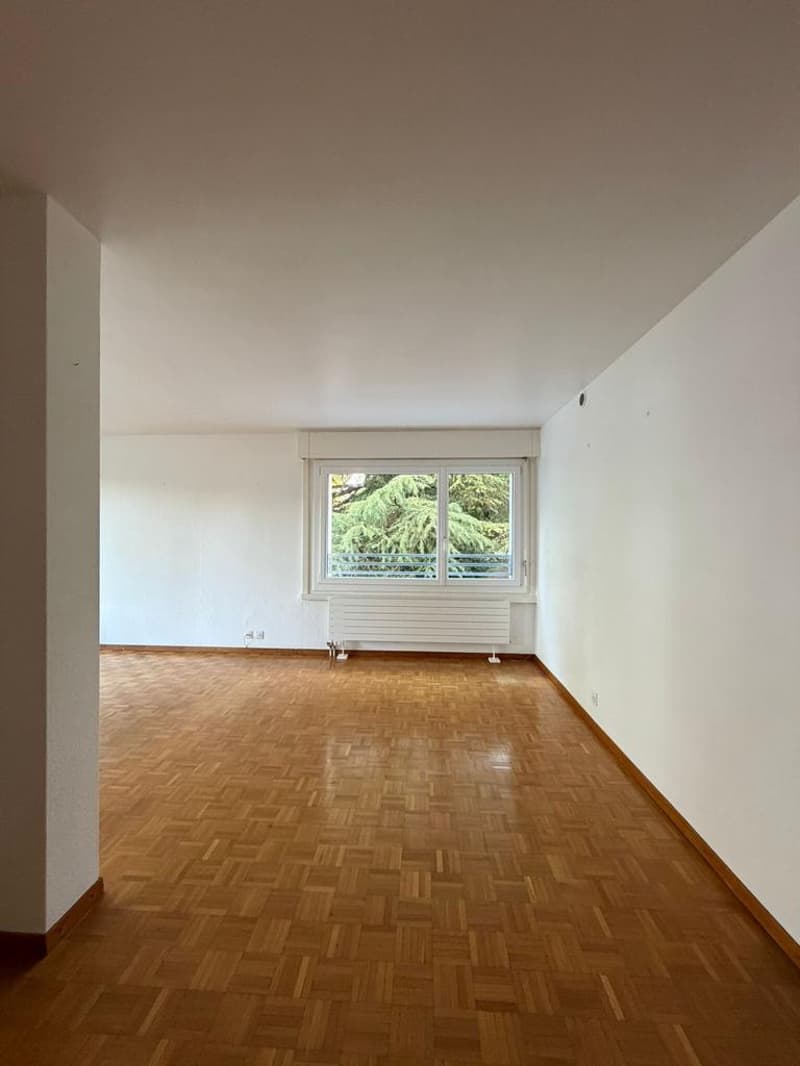 Charmant appartement à Coppet (4)
