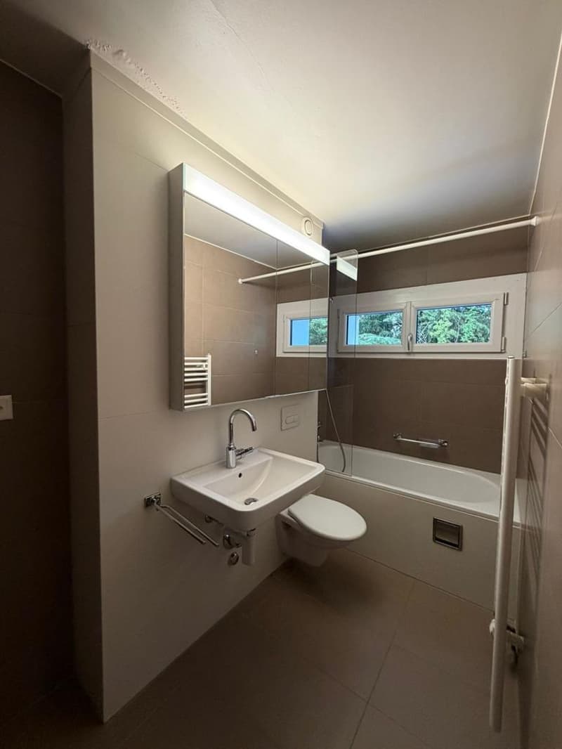Charmant appartement à Coppet (6)