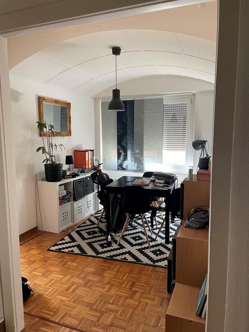 Charmant Appartement au coeur de Lausanne (3)