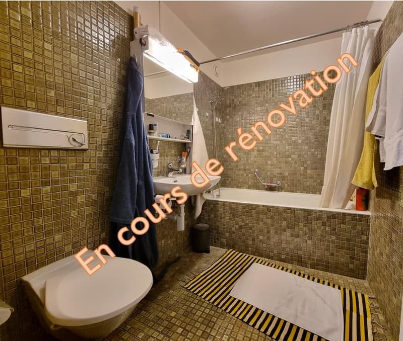 Appartement im Herzen von Lausanne (6)